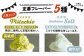 アイス アイスクリーム ジェラート カップ 10個（ ピスタチオ 塩 抹茶 ビターチョコ キャラメル ）