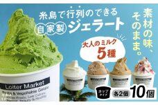 行列のできる アイスクリーム 屋 ジェラート10個（大人味5種×各2個）アイス 食べ比べ ギフト スイーツ プレゼント 糸島 / LoiterMarket ロイターマーケット [AGD002]