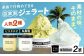 アイス アイスクリーム ジェラート ボトル500ml 2種（糸島産 塩 ・ ピスタチオ ）
