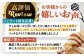 アイス アイスクリーム ジェラート ボトル500ml 2種（糸島産 塩 ・ ピスタチオ ）