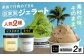 アイス アイスクリーム ジェラート
