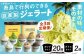 アイス アイスクリーム ジェラート