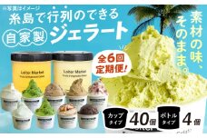 【 全6回 定期便 】行列のできる アイスクリーム 屋 ジェラート カップ10個 / ジェラート ボトル2個 アイス 食べ比べ ギフト スイーツ プレゼント 糸島市 / LoiterMarket ロイターマーケット [AGD011]