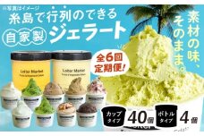 【 全6回 定期便 】行列のできる アイスクリーム 屋 ジェラート カップ10個 / ジェラート ボトル2個 アイス 食べ比べ ギフト スイーツ プレゼント 糸島市 / LoiterMarket ロイターマーケット [AGD011]