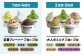 アイス アイスクリーム ジェラート