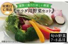 朝採れ！【 栽培 期間中、 農薬・化学肥料不使用 】 サラダ用 糸島 野菜 セット 《糸島》【オーガニックナガミツファーム】 [AGE002]