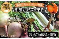朝採れ！ 野菜 （ 7品 前後 ） セット ＋ 果物  《糸島》【オーガニックナガミツファーム】 [AGE004]