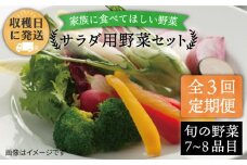 【 全3回 定期便 】【 福岡県 糸島産 】 朝採れ サラダ用 野菜 セット 《糸島》【オーガニックナガミツファーム】 [AGE005]