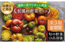 【全3回定期便】【福岡県 糸島産】朝採れ 野菜 セット（10品前後) 《糸島》【オーガニックナガミツファーム】 [AGE006]