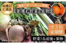 【 全3回 定期便 】 こだわり 野菜  ( 7品 前後 ) セット ＋ 果物 《糸島》【オーガニックナガミツファーム】 [AGE007]