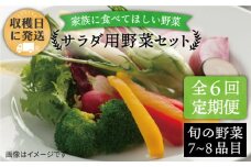 【 全6回 定期便 】 【 福岡県 糸島産 】 サラダ用 野菜 セット 《糸島》 【オーガニックナガミツファーム】 [AGE008]