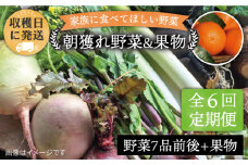 【 全6回 定期便 】 こだわり 野菜 （ 7品 前後 ） セット ＋ 果物 《糸島》【オーガニックナガミツファーム】 [AGE010]
