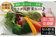 【 全12回 定期便 】 【 福岡県 糸島産 】 朝採れ サラダ用 野菜 セット 《糸島》【オーガニックナガミツファーム】 [AGE011]