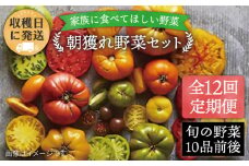 【全12回定期便】【福岡県糸島産】朝採れ 野菜 セット (10品前後) 《糸島》【オーガニックナガミツファーム】[AGE012]