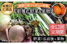 【全12回定期便】こだわり 野菜 （7品前後） セット ＋ 果物 《糸島》【 オーガニックナガミツファーム】[AGE013]