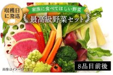 【 栽培期間中農薬 ・ 化学肥料 不使用 】こだわり 高級 野菜 セット《糸島》【オーガニックナガミツファーム】[AGE014]