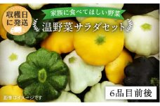 【 栽培期間中農薬 ・ 化学肥料 不使用 】 温野菜 サラダ セット （ 6品前後 ） 《糸島》【オーガニックナガミツファーム】 [AGE015]