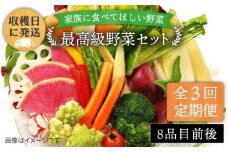 【 全3回 定期便 】【 農薬・化学肥料 不使用 】こだわり 野菜 セット （ 8品前後 ） 《糸島》【オーガニックナガミツファーム】 [AGE016]