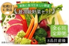 【 全6回 定期便 】【 農薬・化学肥料 不使用 】こだわり 野菜 セット （ 8品 前後 ） 《糸島》【オーガニックナガミツファーム】 [AGE017]