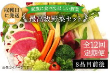 【 全12回 定期便 】【 農薬・化学肥料 不使用 】こだわり 野菜 セット （ 8品 前後 ） 《糸島》【オーガニックナガミツファーム】 [AGE018]