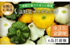【 全3回 定期便 】 朝採れ 温野菜 サラダ セット （ 6品 前後 ） 《糸島》【オーガニックナガミツファーム】 [AGE019]