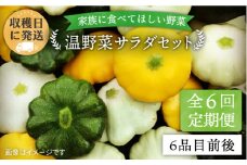 【 全6回 定期便 】 朝採れ 温野菜 サラダ セット （ 6品 前後 ）  《糸島》【オーガニックナガミツファーム】 [AGE020]