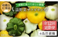 【 全12回定期便 】【 福岡県 糸島産 】朝採れ 温野菜 サラダ セット《糸島》【オーガニックナガミツファーム】[AGE021]