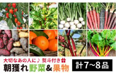 旬 野菜 + プレミアム 野菜 + 果物 ( 合計7～8品 ）セット【熨斗付き】《糸島》【オーガニックナガミツファーム】 [AGE022]