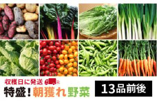 【 福岡県 糸島産 】 朝採れ 野菜 セット （ 13品 前後 ） 《糸島》【オーガニックナガミツファーム】 [AGE023]