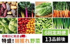 【 全6回 定期便 】【 福岡県 糸島産 】 朝採れ 野菜 セット （ 13品 前後 ） 《糸島》【オーガニックナガミツファーム】 [AGE025]