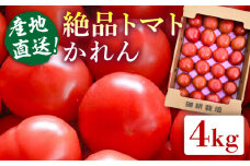 【産地直送！】糸島産 絶品 トマト かれん ( 4kg 28玉 前後 )  糸島市 / シーブ [AHC019] 大玉トマト 野菜