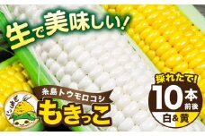 【先行予約】 糸島 トウモロコシ 『もきっこ』 白 黄 ミックス （ 10本前後 ）【2026年6月下旬以降順次発送】 《糸島》 【内田農業】  [AZH003]