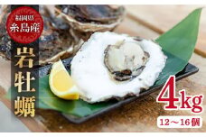 【 特大 ！ 】 糸島産 岩牡蠣 4kg ( 12～16個 )《糸島》【JF糸島 糸島漁業協同組合】[AKD007]