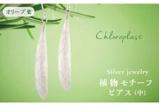 植物 モチーフ オリーブ 葉 ピアス ( 中 )《糸島》【Chloroplast / クロロプラスト】 [ALF004]