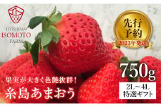 [ 先行予約・出荷日指定可 ] 糸島 あまおう 特選ギフト（ 800g ）A品のみ2L～4L【磯本農園】 [ATB005] 贈り物 イチゴ いちご 苺