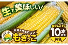 【先行予約】糸島 トウモロコシ 『もきっこ』 黄 （ 10本前後 ） 【2026年6月下旬以降順次発送】《糸島》 【内田農業】 [AZH001]