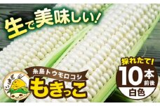 【先行予約】 糸島 トウモロコシ 『もきっこ』 白 （ 10本前後） 【2026年6月下旬以降順次発送】《糸島》 【内田農業】 [AZH002]