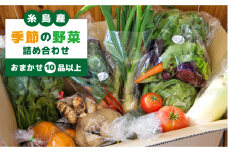 糸島産 季節 の 野菜 詰め合わせ （ おまかせ 10品 以上 ）《糸島》【ひめしま渡船直売所】 [ANJ001]