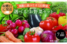 選べる！オーガニック野菜7品セット 冬～春限定《糸島》【オーガニックナガミツファーム】 [AGE033] 野菜セット オーガニック