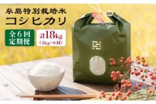 【 6回 定期便 】とくべつ の中の とくべつ 糸島 特別栽培米 3kg （ コシヒカリ ）《 糸島 》【株式会社やました】 [ARJ002]