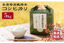 とくべつ の中の とくべつ 糸島 特別栽培米 5kg （ コシヒカリ ）《 糸島 》【株式会社やました】 [ARJ005]