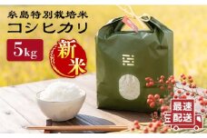 【令和7年産新米】とくべつ の中の とくべつ 糸島 特別栽培米 5kg （ コシヒカリ ）《 糸島 》【株式会社やました】 [ARJ005]