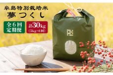【 6回 定期便 】 とくべつ の中の とくべつ 糸島 特別栽培米 5kg （ 夢つくし ）《 糸島 》【株式会社やました】 [ARJ007]