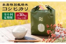 【 6回 定期便 】 とくべつ の中の とくべつ 糸島 特別栽培米 5kg （ コシヒカリ ）《 糸島 》【株式会社やました】 [ARJ006]