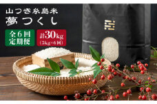 【 6回 定期便 】 糸島 で 農薬 を使わずに育てた 山つき 糸島米 5kg （ 夢つくし ）《 糸島 》【株式会社やました】 [ARJ012]