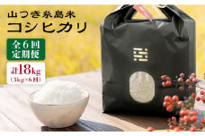 【 6回 定期便 】 糸島 で 農薬 を使わずに育てた山つき 糸島米 3kg （ コシヒカリ ）《 糸島 》【株式会社やました】 [ARJ013]