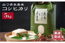 糸島 で 農薬 を使わずに育てた 山つき 糸島米 5kg （ コシヒカリ ）《 糸島 》【株式会社やました】 [ARJ015]
