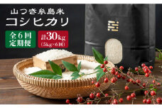 【6回定期便】糸島で農薬を使わずに育てた山つき 糸島 米 5kg（コシヒカリ）《糸島》【株式会社やました】 [ARJ016]