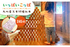 いっぱいこっぱ（大） 積み木 《糸島》【産の森学舎】 [ABC003]