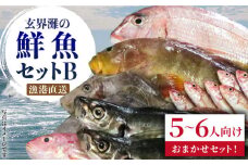 【3枚おろし希望する】福吉漁港直送！玄界灘の鮮魚セットB （5,6人向け） 《糸島》【福ふくの里】 [ALD002-1]